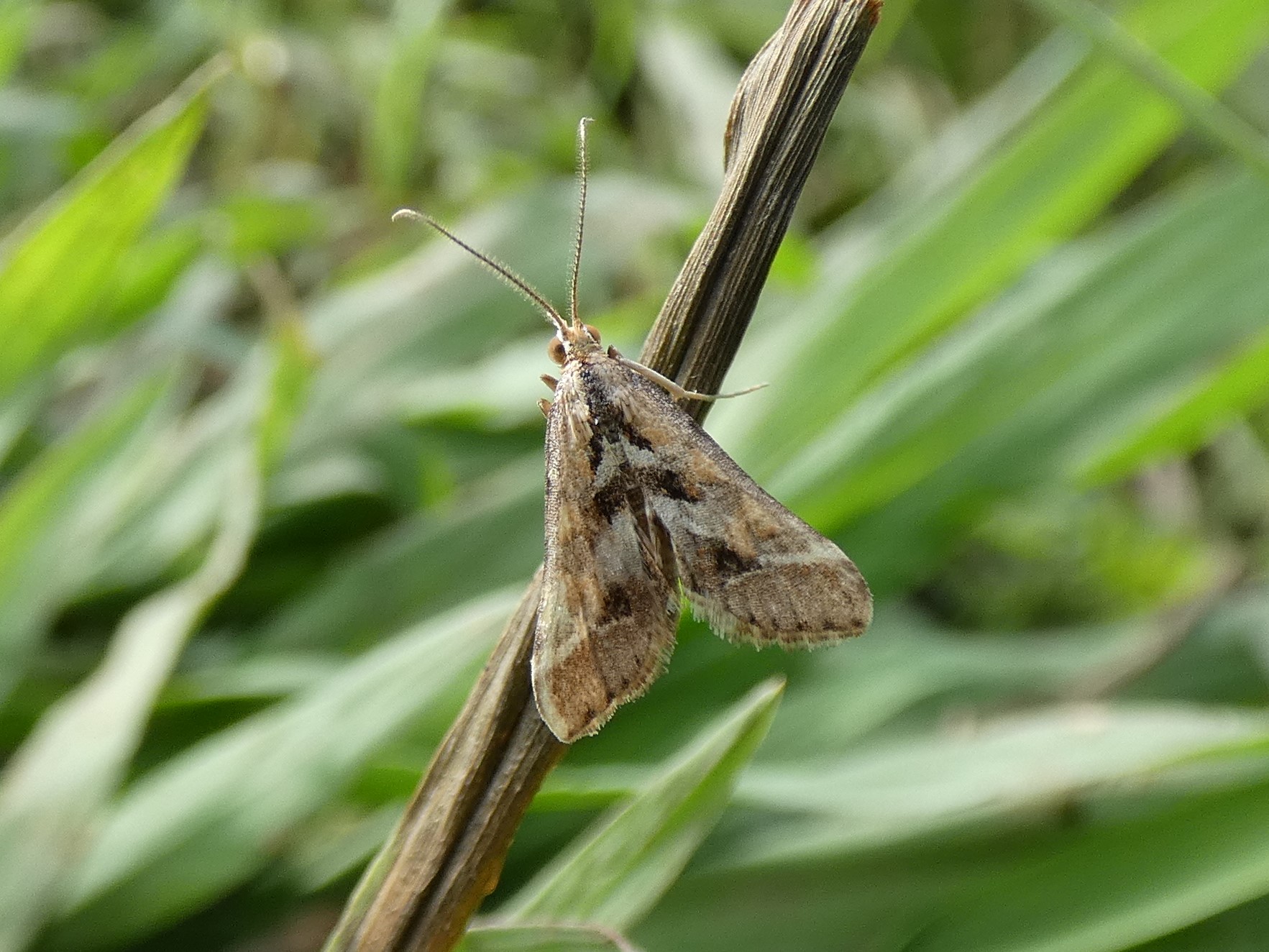 photo_6